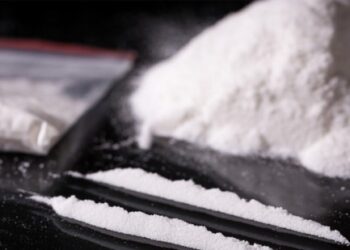 ഡൽഹിയിൽ-വൻ-മയക്കുമരുന്ന്-വേട്ട;-500-കിലോ-കൊക്കെയ്ൻ-പിടികൂടി