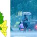 കേരളത്തിൽ-മഴ-ശക്തമാകുന്നു:-ഇന്ന്-അഞ്ച്-ജില്ലകളിൽ-യെല്ലോ-അലർട്ട്