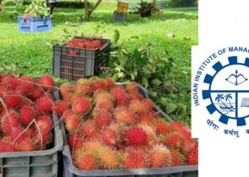 സംസ്ഥാനത്തെ-തോട്ടങ്ങളിൽ-ഫലവൃക്ഷങ്ങളും-വേണം-;-ഐഐഎം-പഠന-റിപ്പോർട്ട്