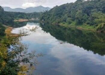 ചാലിയാർ-തീരം-സൗന്ദര്യവൽക്കരണം-തുടങ്ങി
