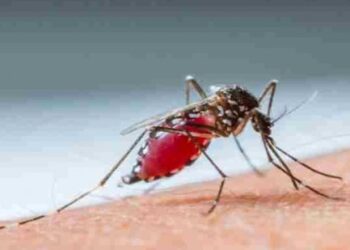 :-എല്ലാ-ജില്ലയിലും-സംയോജിത- പരിശോധന