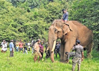 ഒടുവിൽ-പായ്‌ക്ക്‌-അപ്‌;- ‘സാധു’-ശാന്തനായി-നാട്ടിലേക്ക്‌