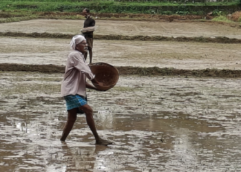 ഔഷധശാലയാണ്‌-ഈ-രക്തശാലി