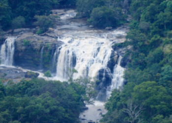 പ്രകൃതി-ചമയമിട്ട-ചിന്നാർ