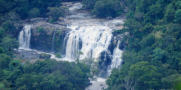 പ്രകൃതി-ചമയമിട്ട-ചിന്നാർ